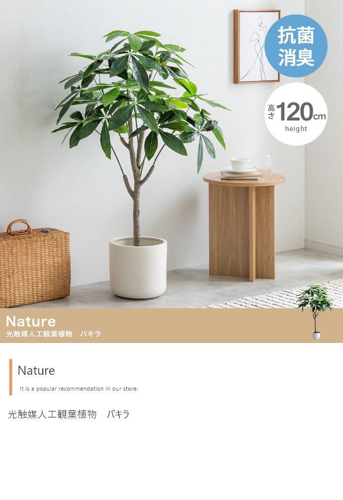 【高さ120cm】Nature 光触媒人工観葉植物　パキラ