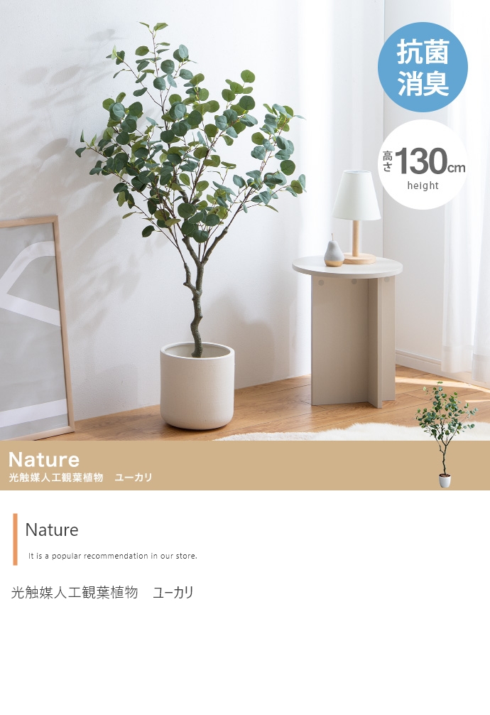 【高さ130cm】Nature 光触媒人工観葉植物　ユーカリ